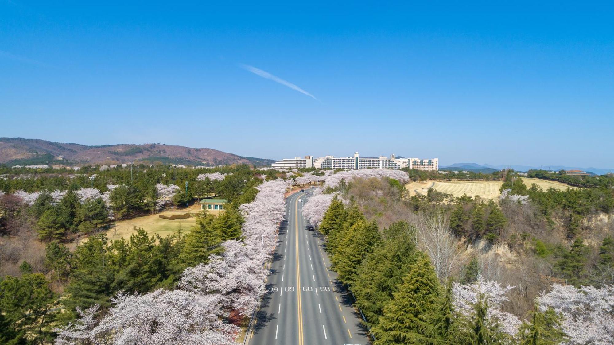 Kensington Resort Gyeongju Bagian luar foto